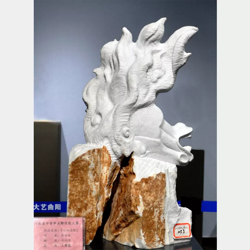 《白驹过隙》